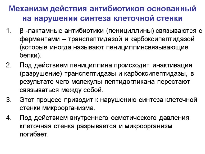 Механизм действия антибиотиков основанный на нарушении синтеза клеточной стенки β -лактамные антибиотики (пенициллины) связываются